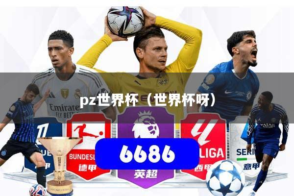 pz世界杯(世界杯呀)