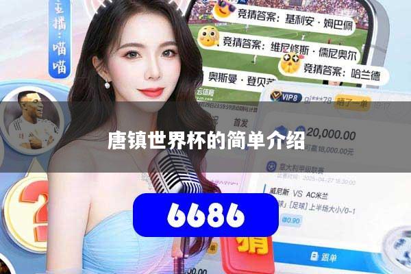 唐镇世界杯的简单介绍