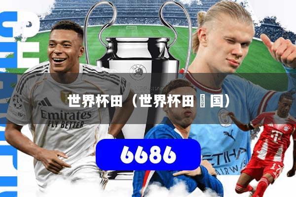 世界杯田(世界杯田柾国)